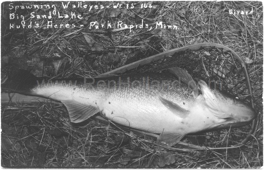 Park Rapids, MN, Big SandLake Emma, Hurd’s Acres 8, ca 1950s Ren