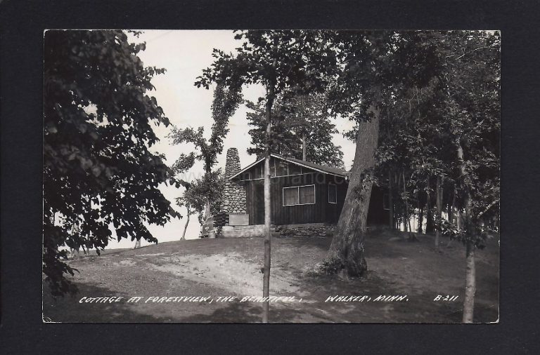 Walker, MN, Leech Lake, Forestview Lodge 5 Ren Holland's site